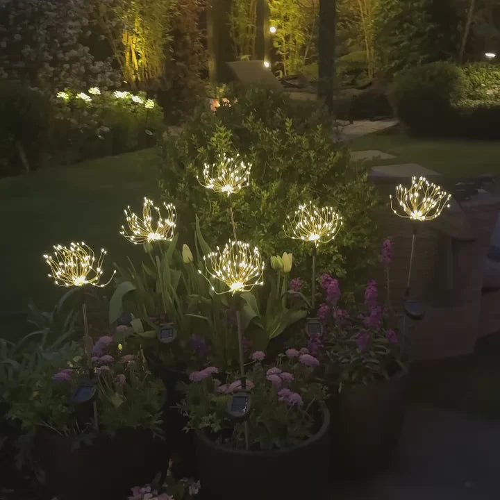 Solar Flora