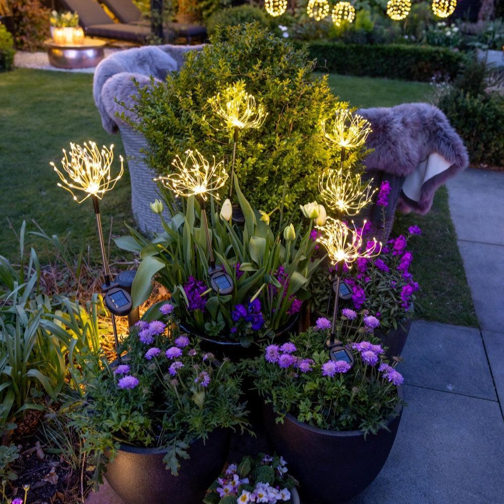 Solar Flora