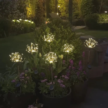 Solar Flora