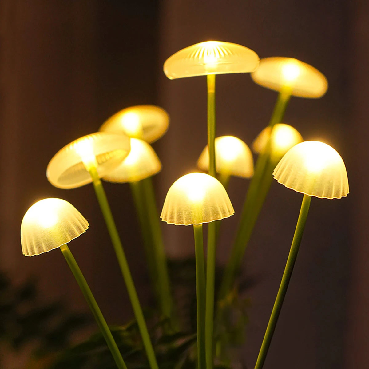 Solar Mushroom light