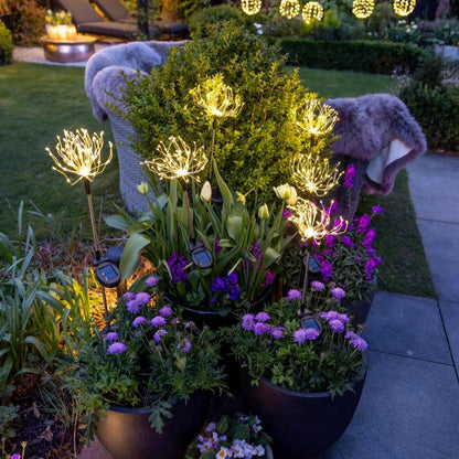 Solar Flora